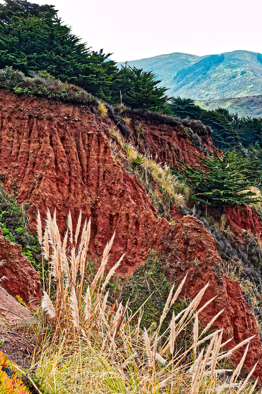 Canon EOS-1D X sample photo. Big sur 79 photography