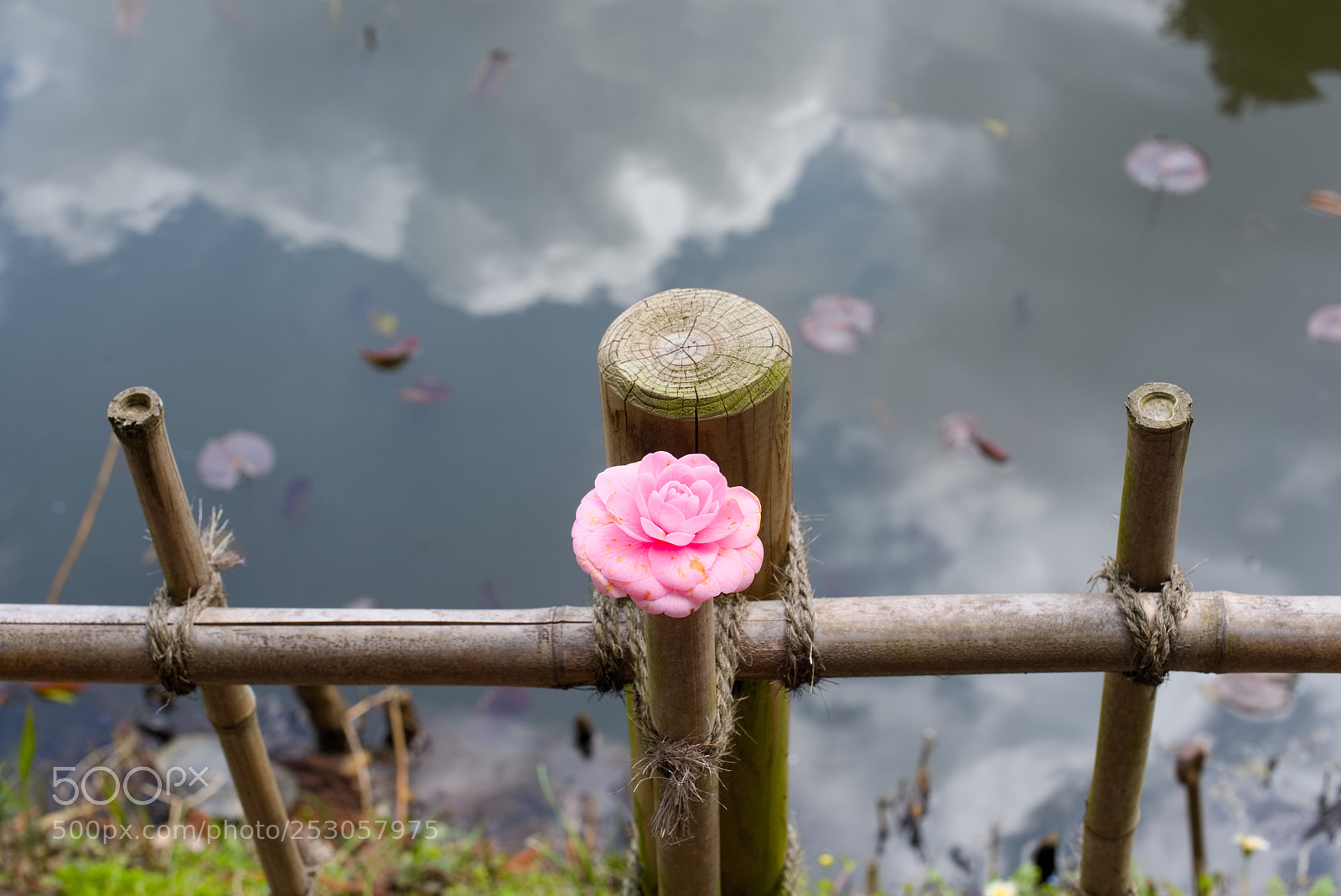 Nikon D810 sample photo. For you!! photography