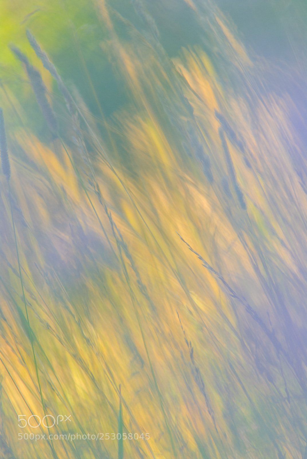 Nikon D200 sample photo. Nature photography