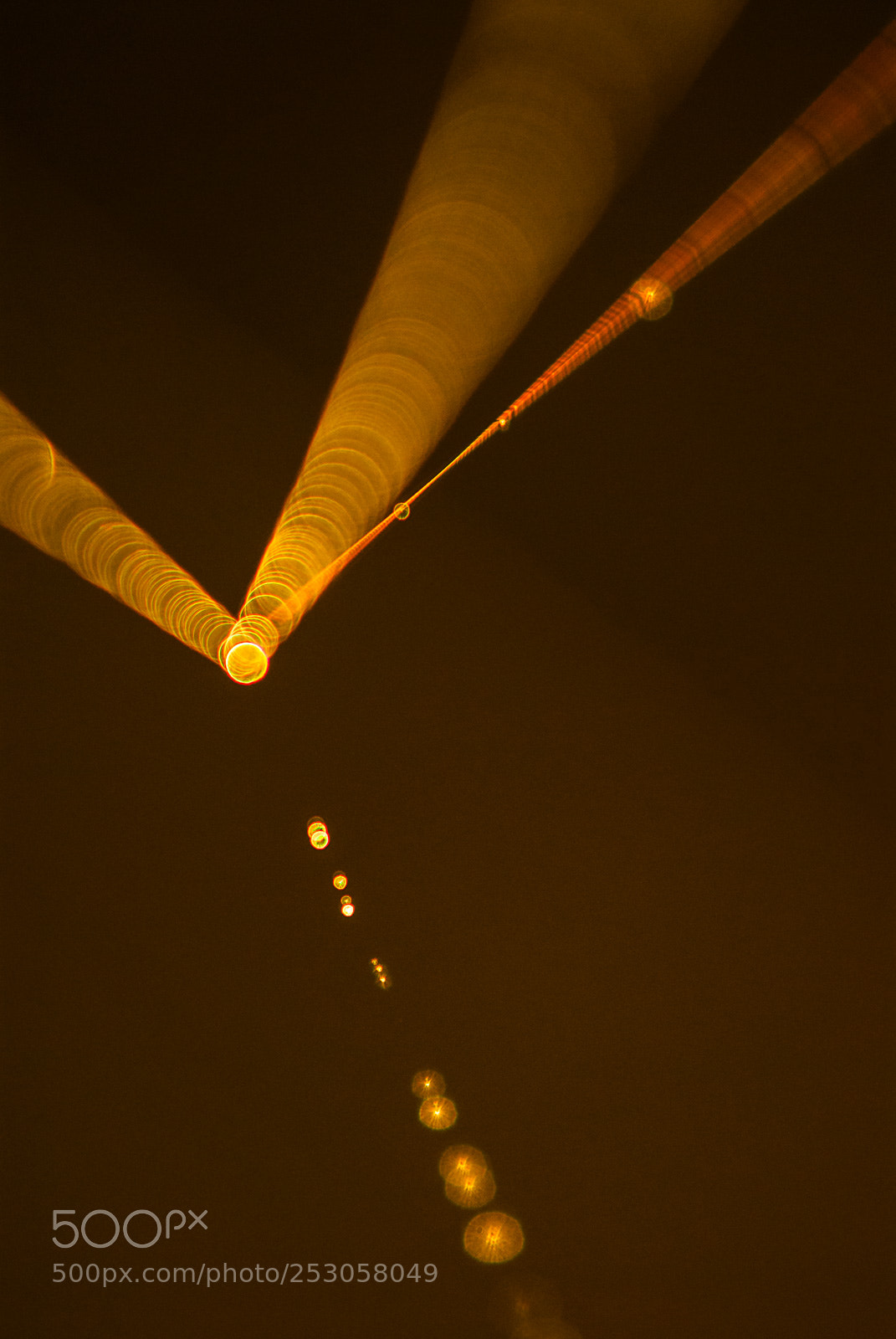 Nikon D200 sample photo. Nature photography