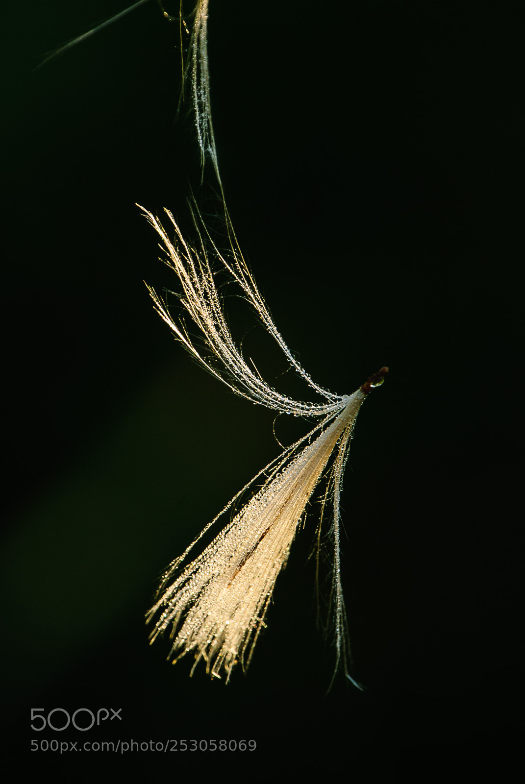 Nikon D200 sample photo. Nature photography