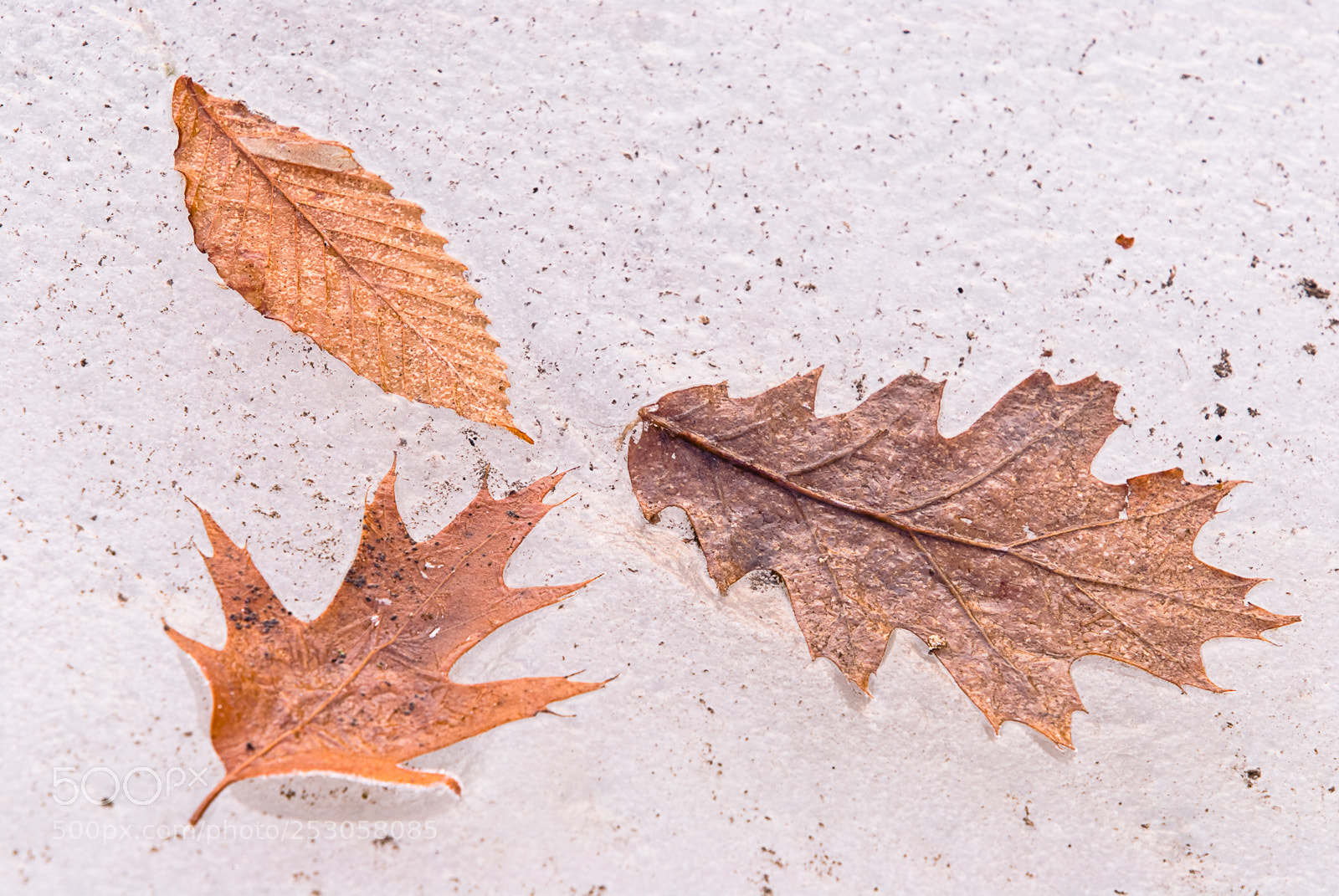 Nikon D200 sample photo. Nature photography