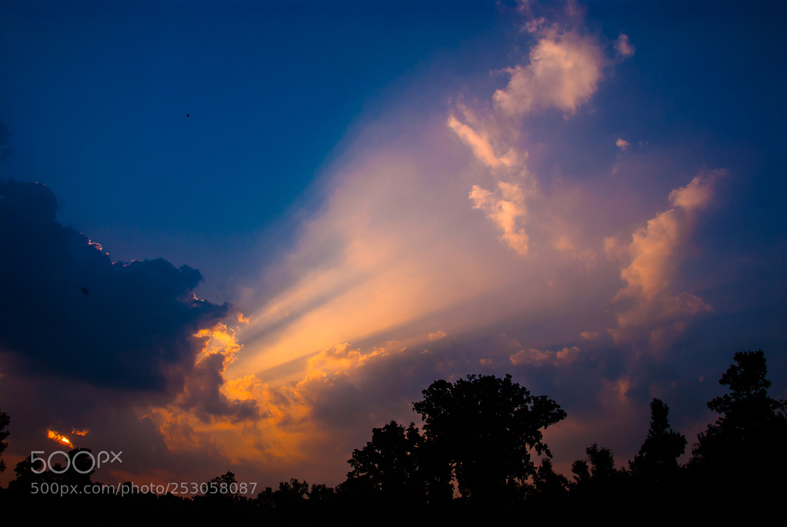 Nikon D200 sample photo. Nature photography