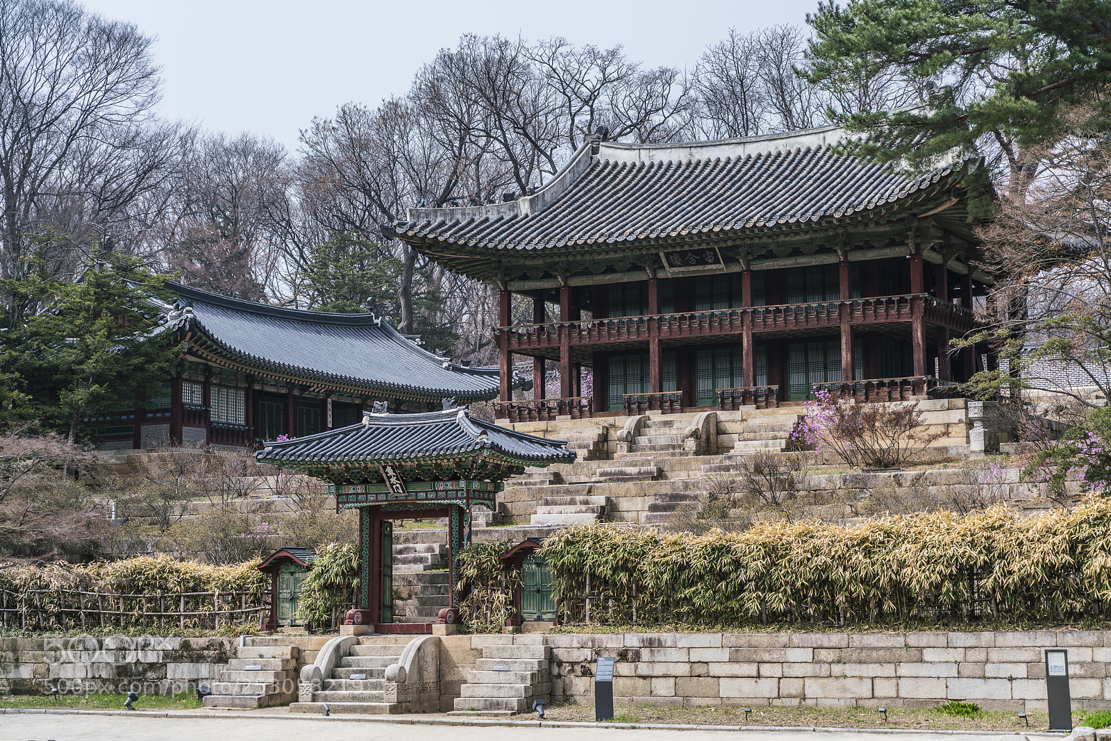 Sony a7R II sample photo. Changdeokgung(palace) photography