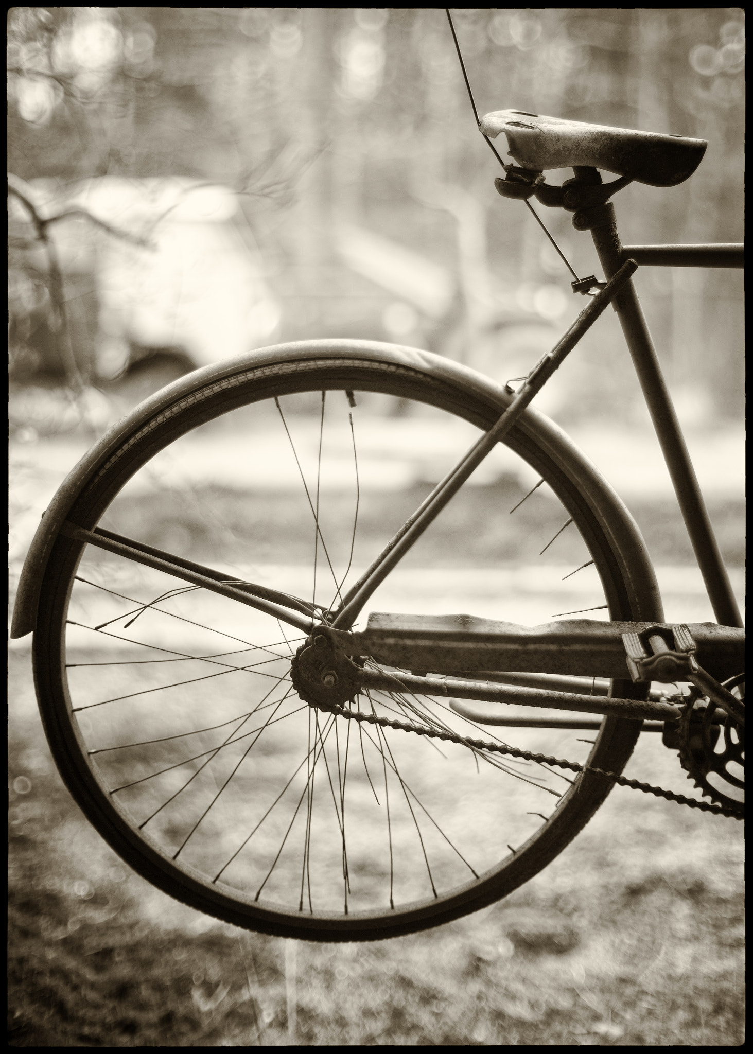 Leica M Monochrom (Typ 246) sample photo. This form and function photography