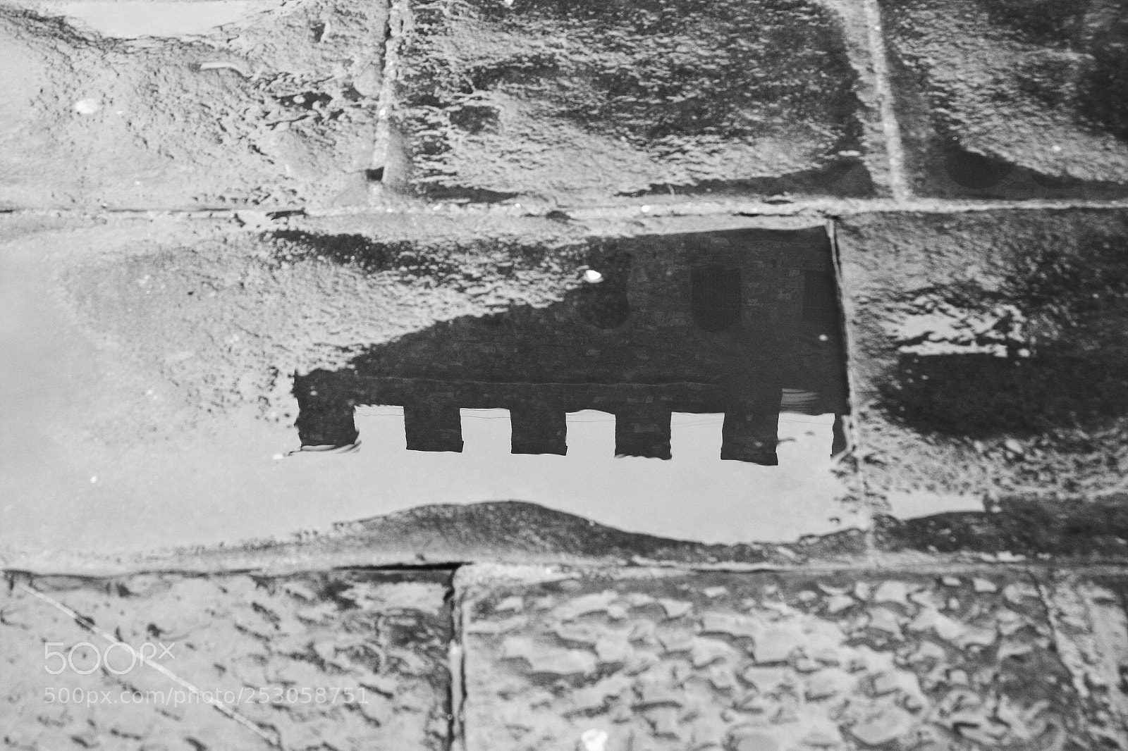 Canon EOS 40D sample photo. Firenze photography