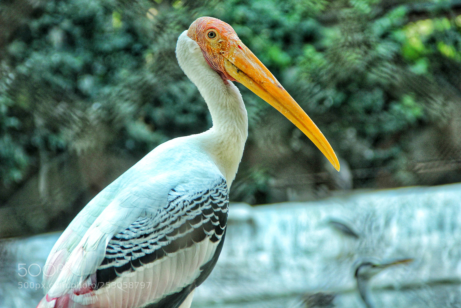 Canon EOS 600D (Rebel EOS T3i / EOS Kiss X5) sample photo. Untitled photography