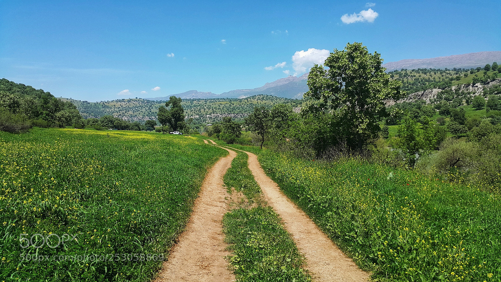 Samsung Galaxy Note4 sample photo. Barzan grassland photography