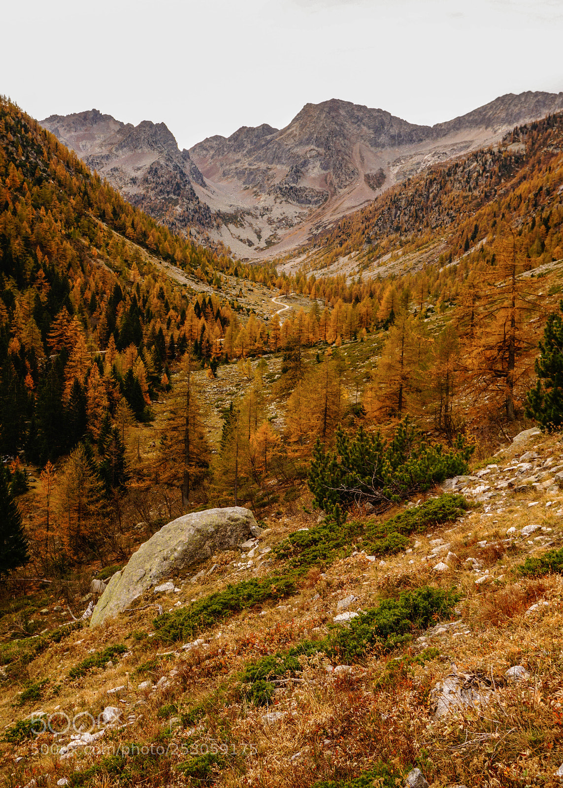 Sony a6000 sample photo. Autumn colours photography