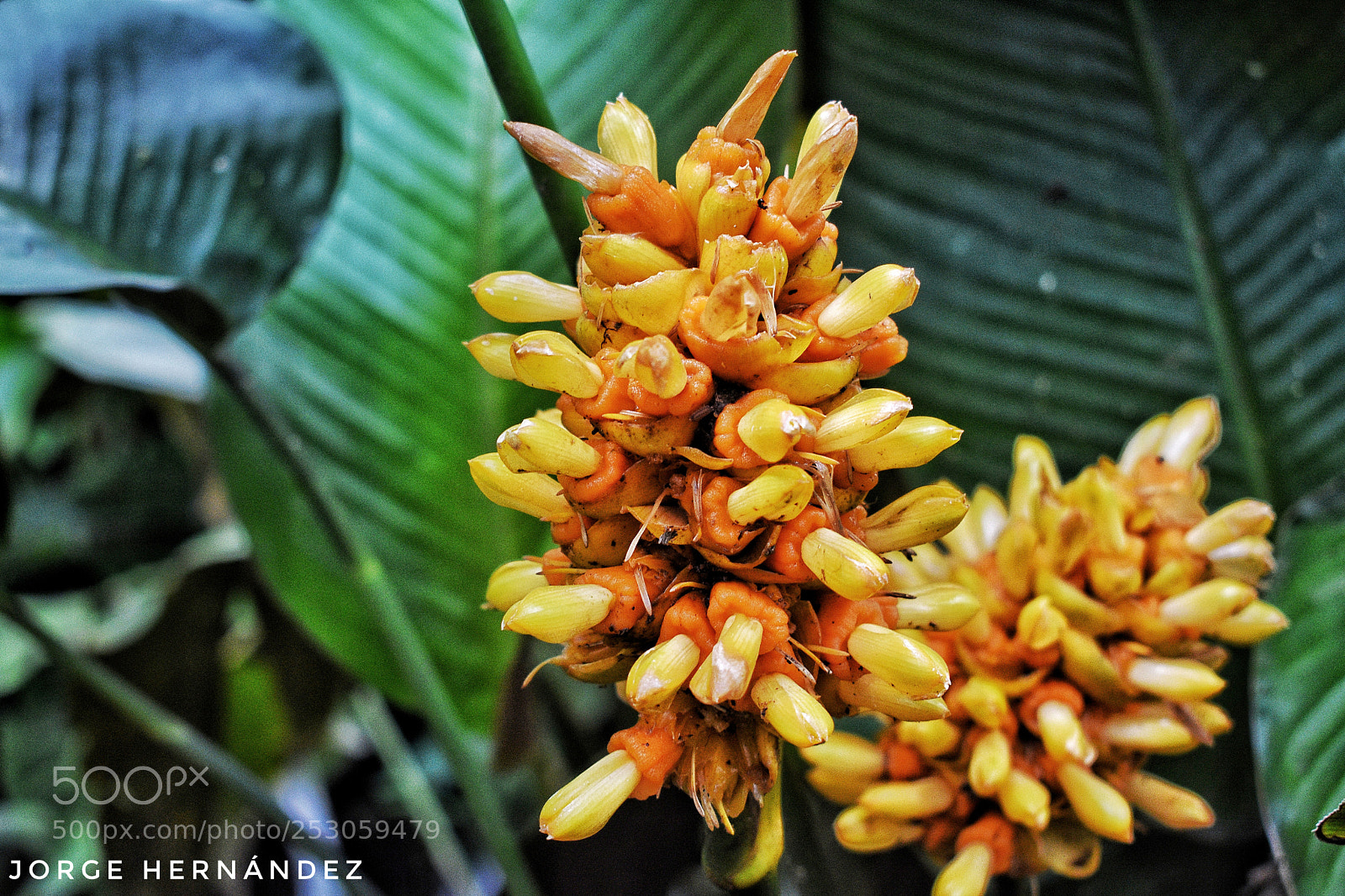 Nikon D3400 sample photo. Untitled photography