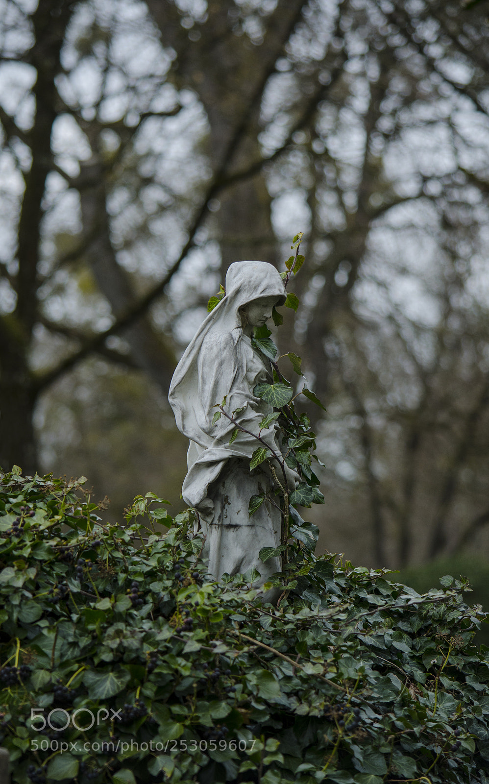 Nikon D7000 sample photo. Westfriedhof münchen photography