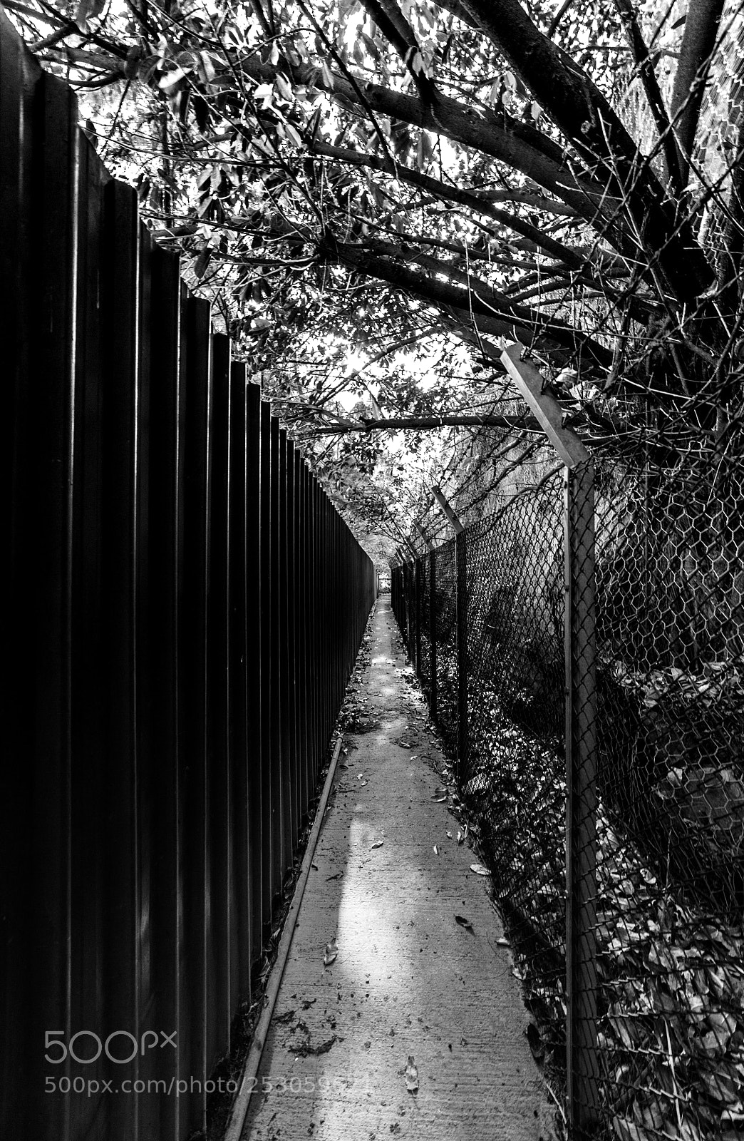 Nikon D700 sample photo. One way photography