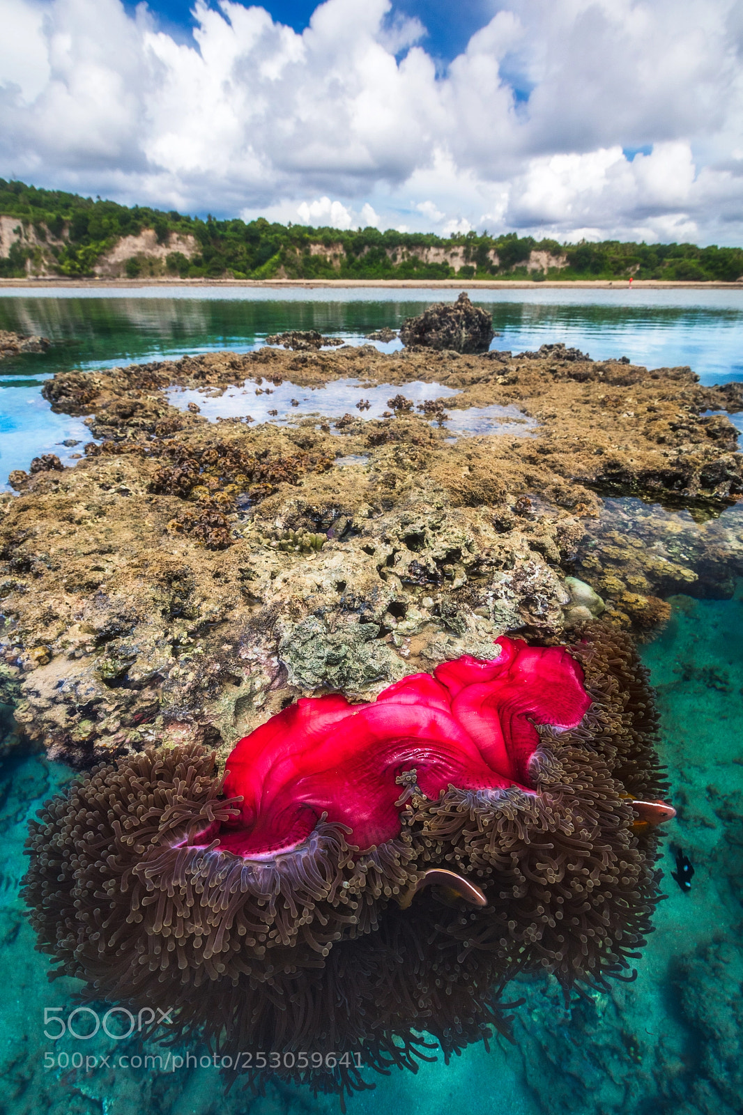 Canon EOS 5DS R sample photo. Les piscines de badamier photography
