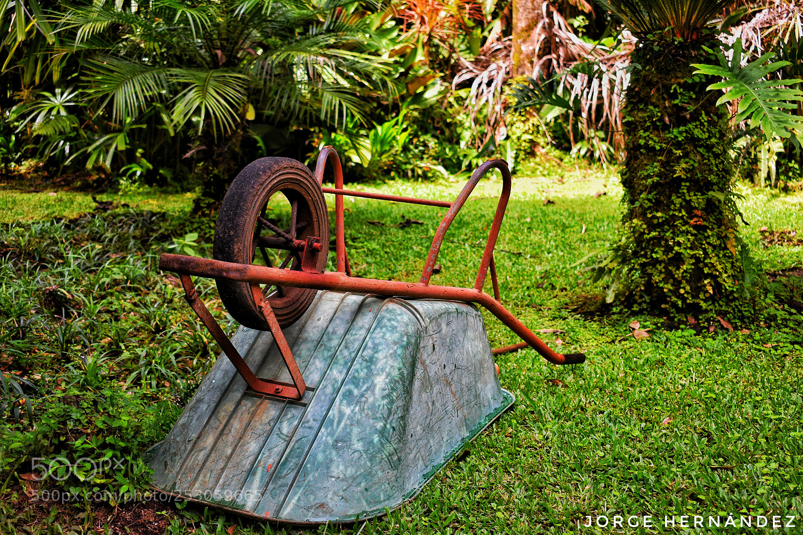 Nikon D3400 sample photo. Untitled photography