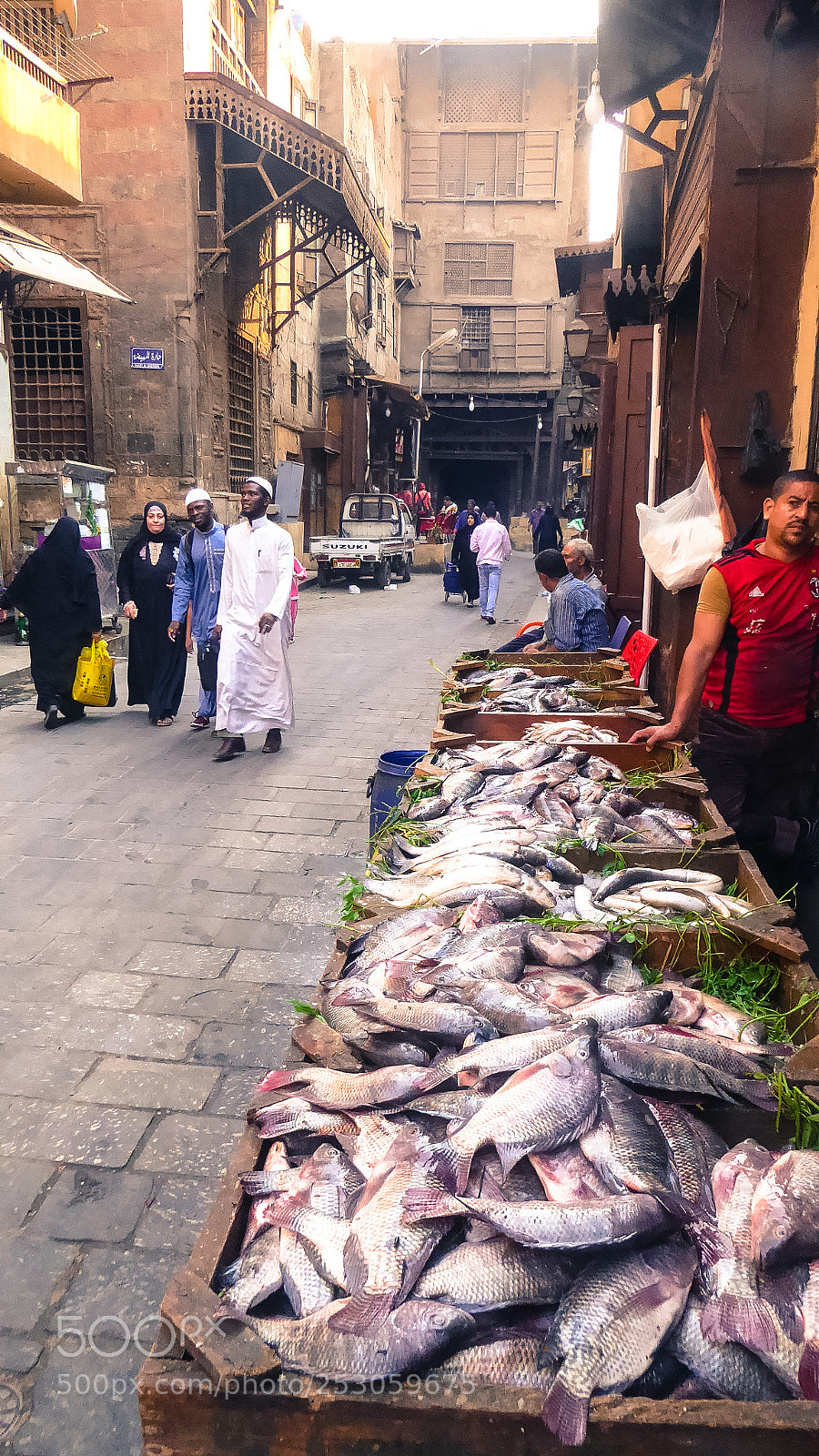 Panasonic Lumix DMC-ZS50 (Lumix DMC-TZ70) sample photo. Cairo photography