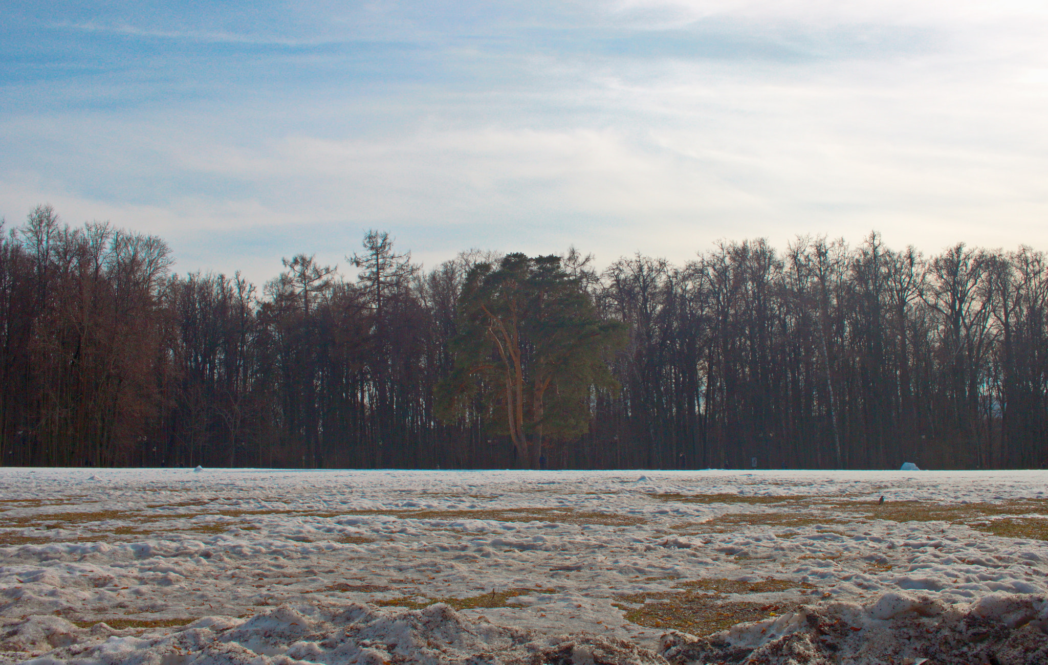 Canon EF-S 24mm F2.8 STM sample photo. Russian spring be like photography