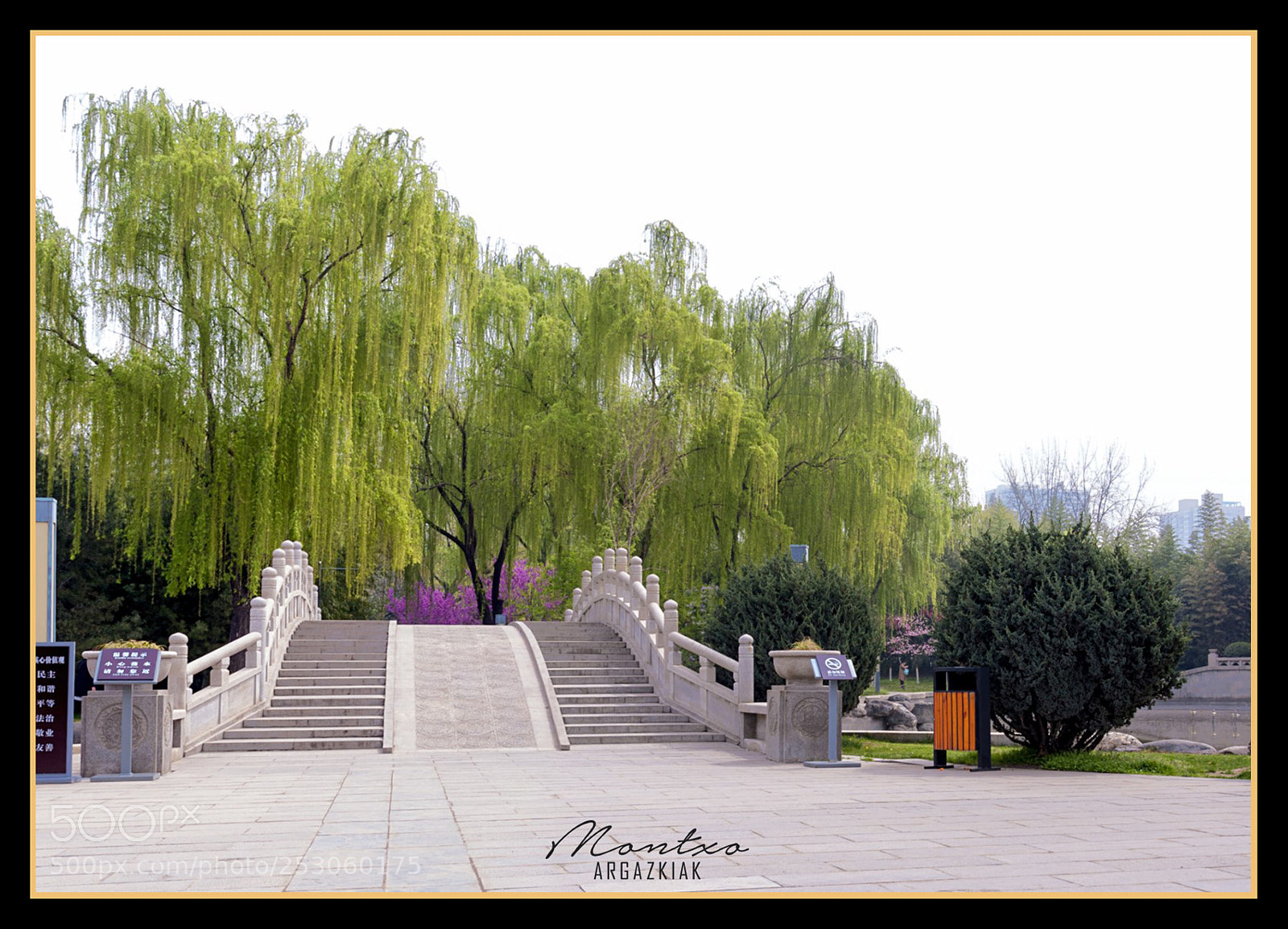 Nikon D700 sample photo. Xian - china - 2018 photography