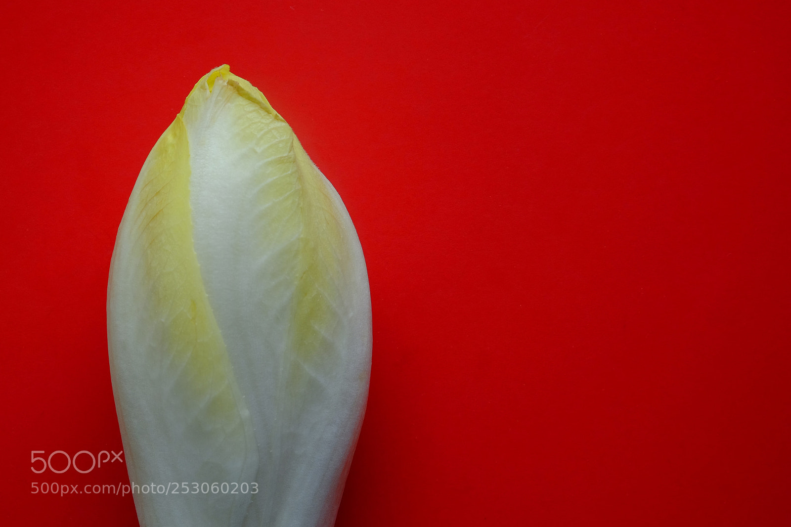Fujifilm X-T1 sample photo. Ee dsc photography