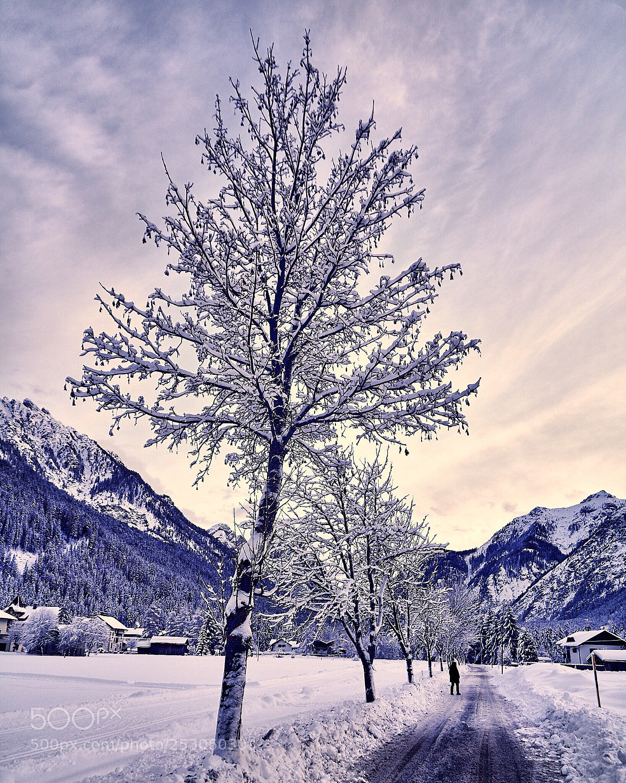 Sony a6500 sample photo. Snow photography