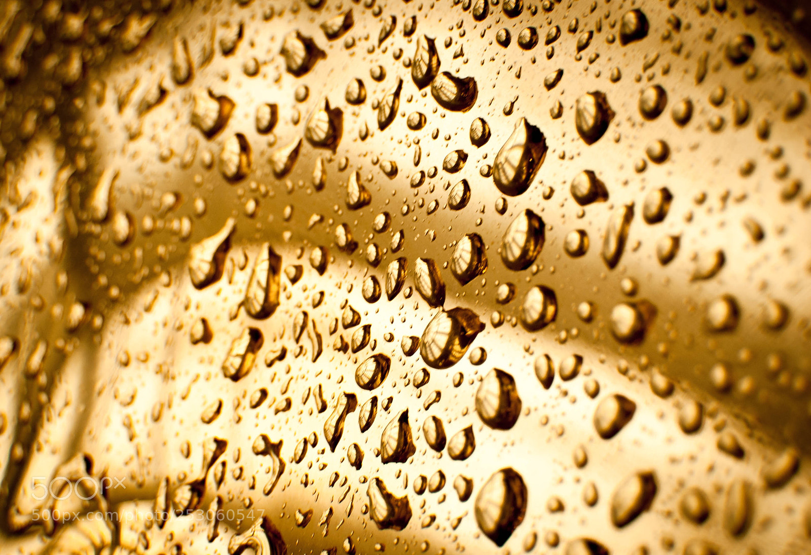 Nikon D60 sample photo. Untitled photography