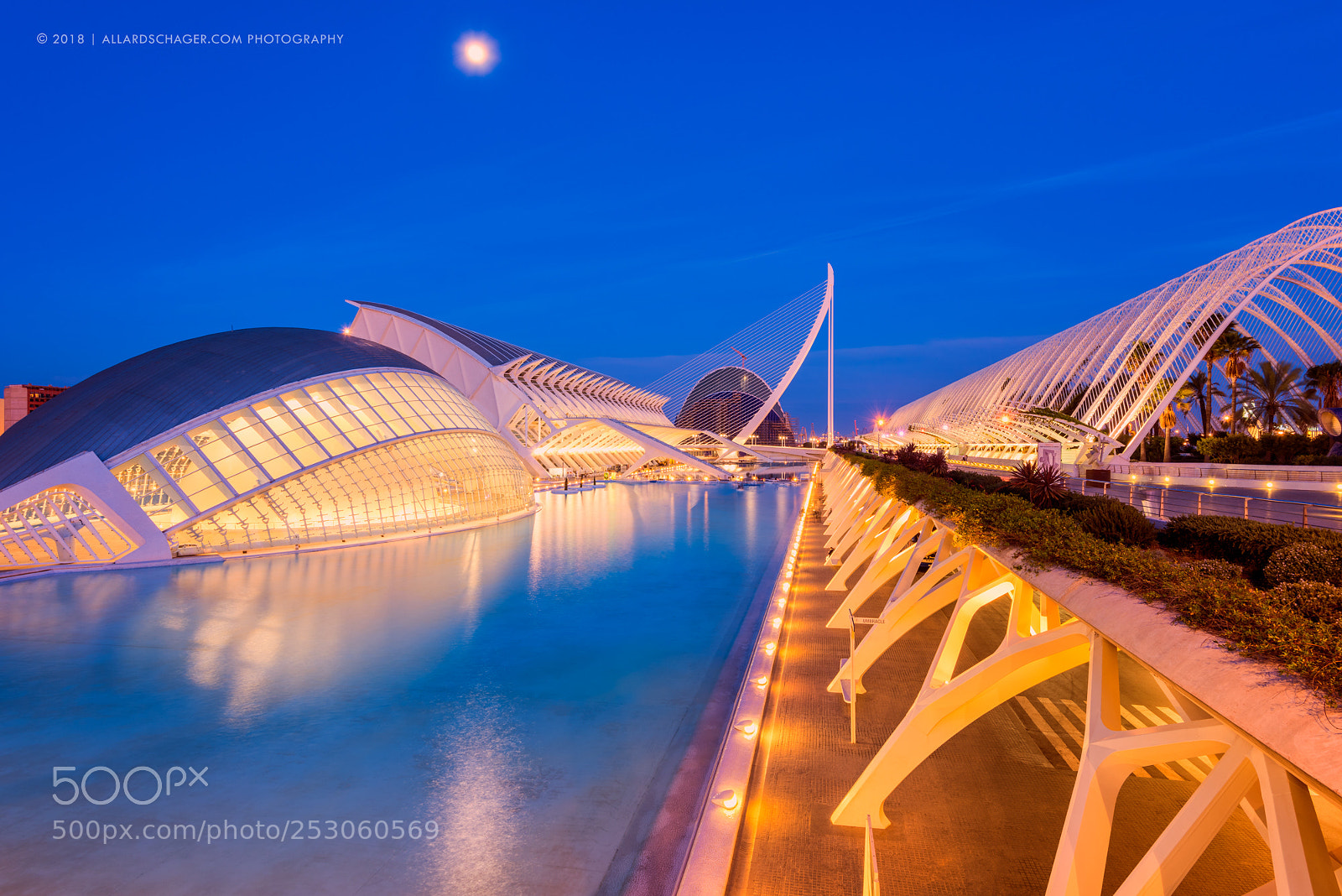 Nikon D810 sample photo. Calatrava park photography
