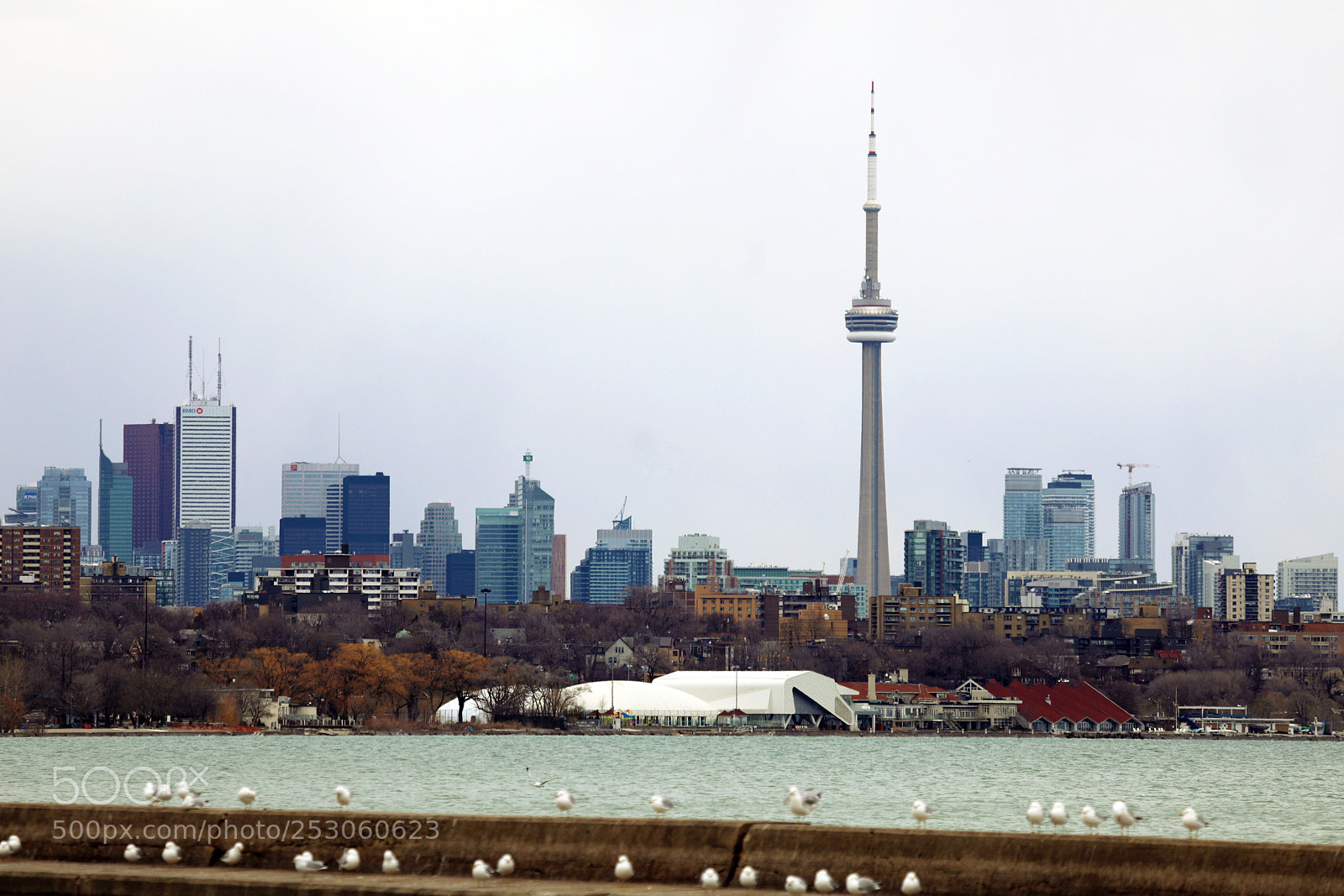 Canon EOS 5D Mark IV sample photo. Toronto cityscape from lake photography
