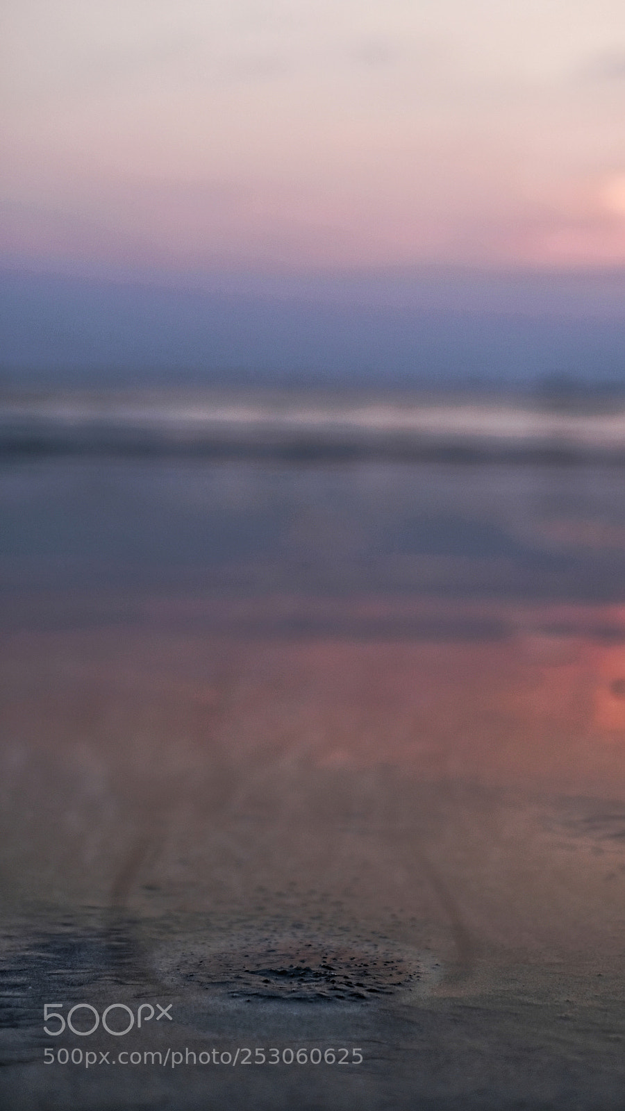 Fujifilm X-T20 sample photo. Crab's home photography