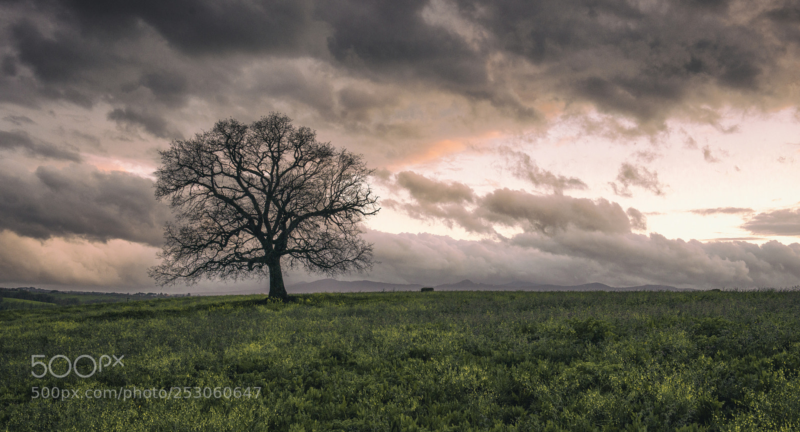 Nikon D800E sample photo. After the storm photography