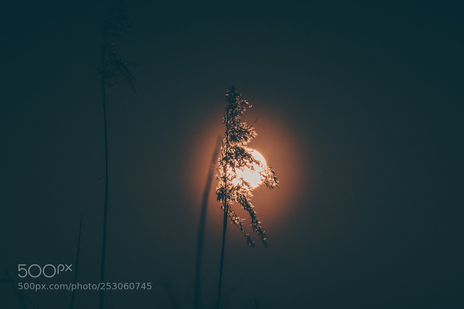 Sony a7 sample photo. Sunset in a nutshell photography