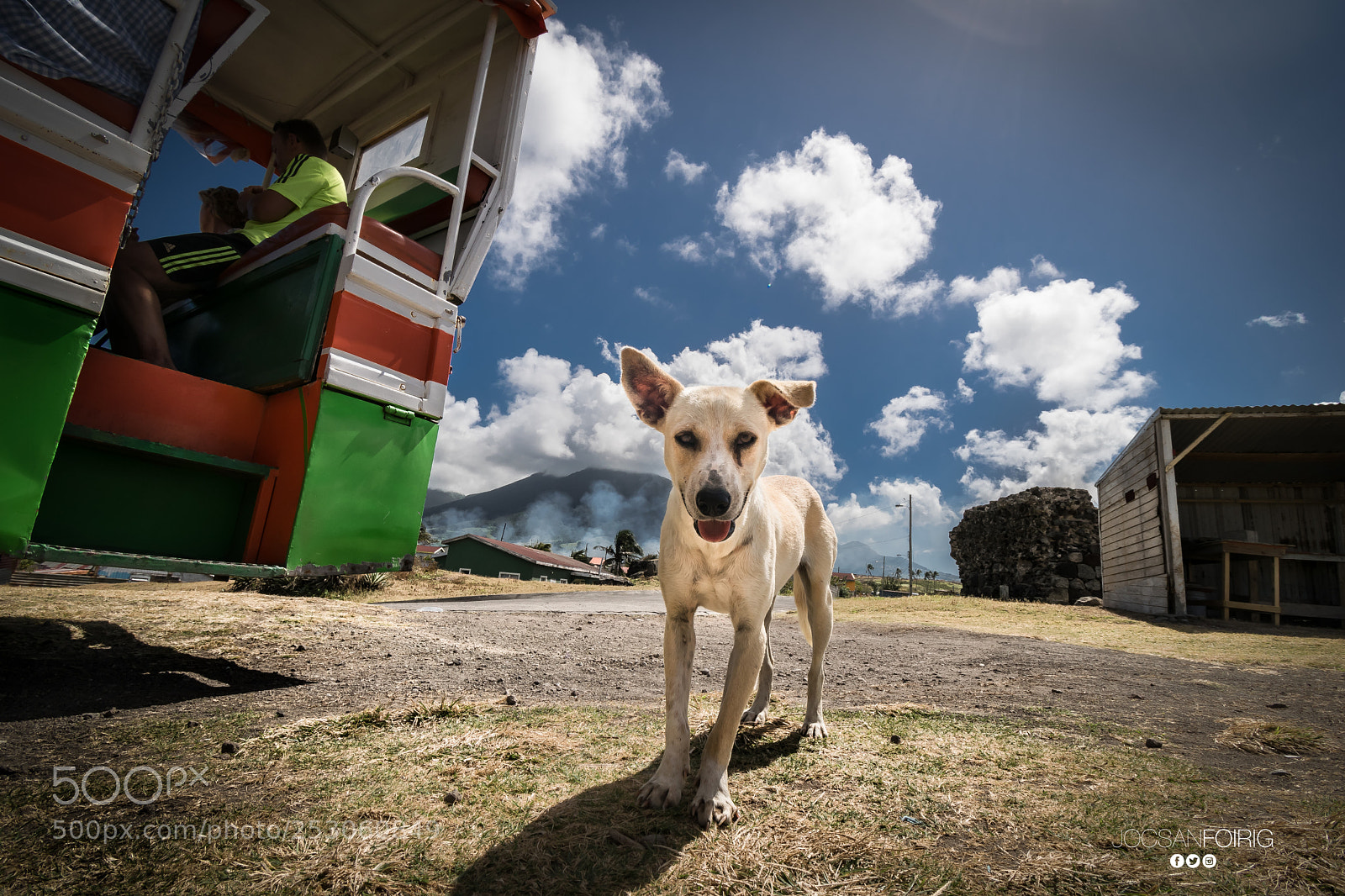 Nikon D5300 sample photo. Un amigo en el photography