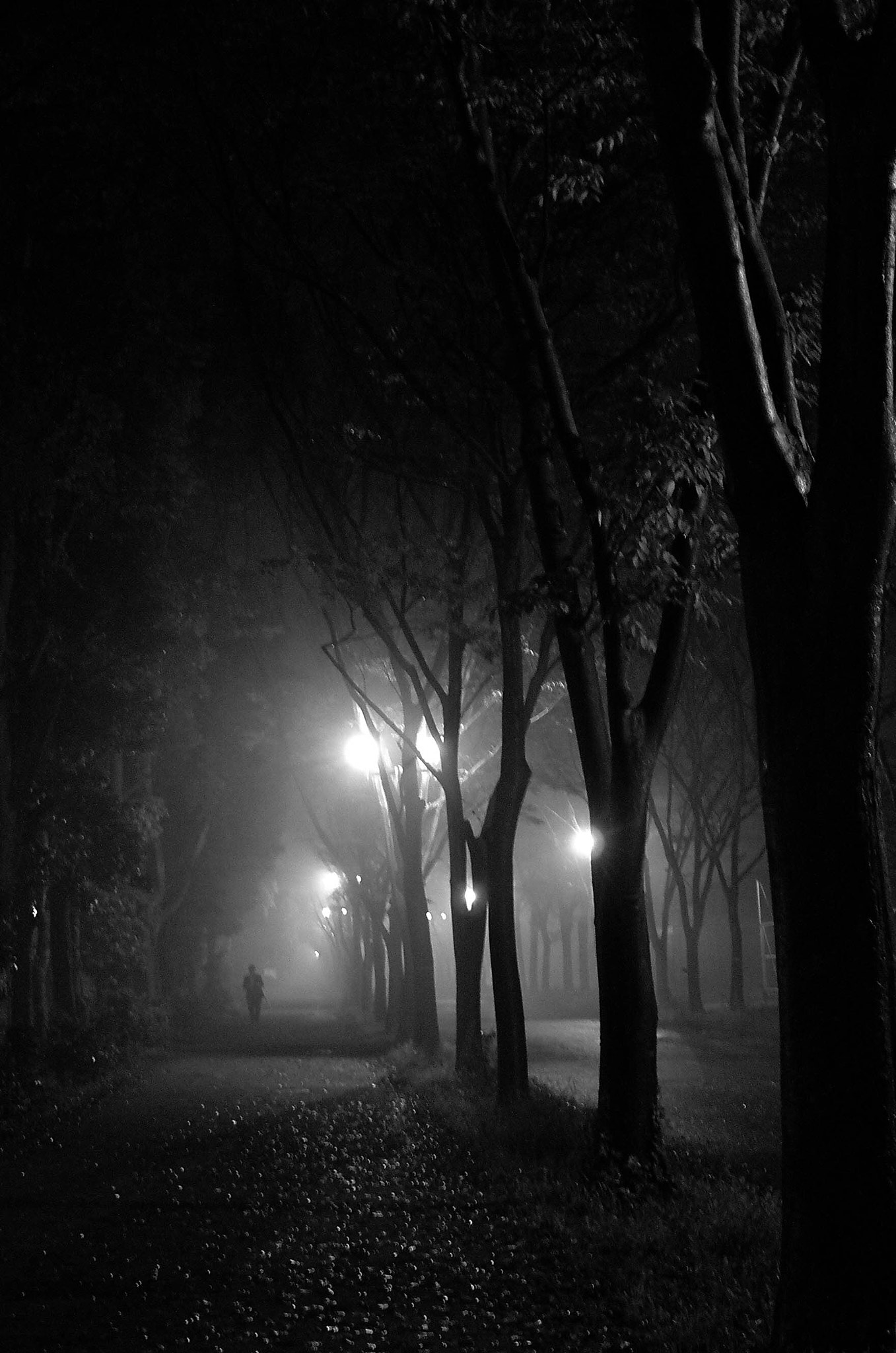 Leica X2 sample photo. Fog photography