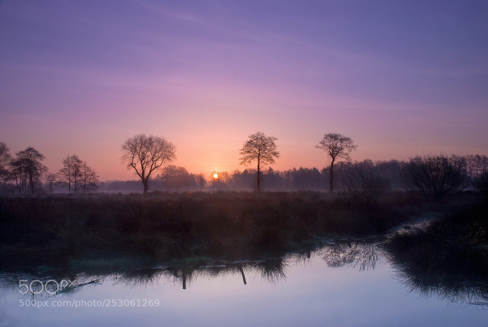 Nikon D80 sample photo. Cold foggy morning iii photography