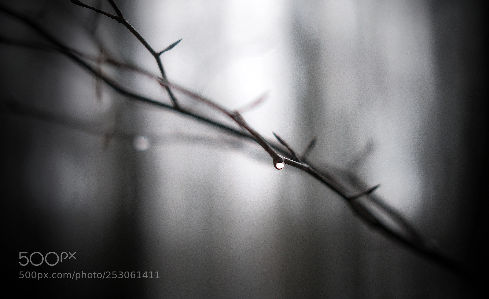 Panasonic Lumix DMC-GX7 sample photo. On rainy days photography