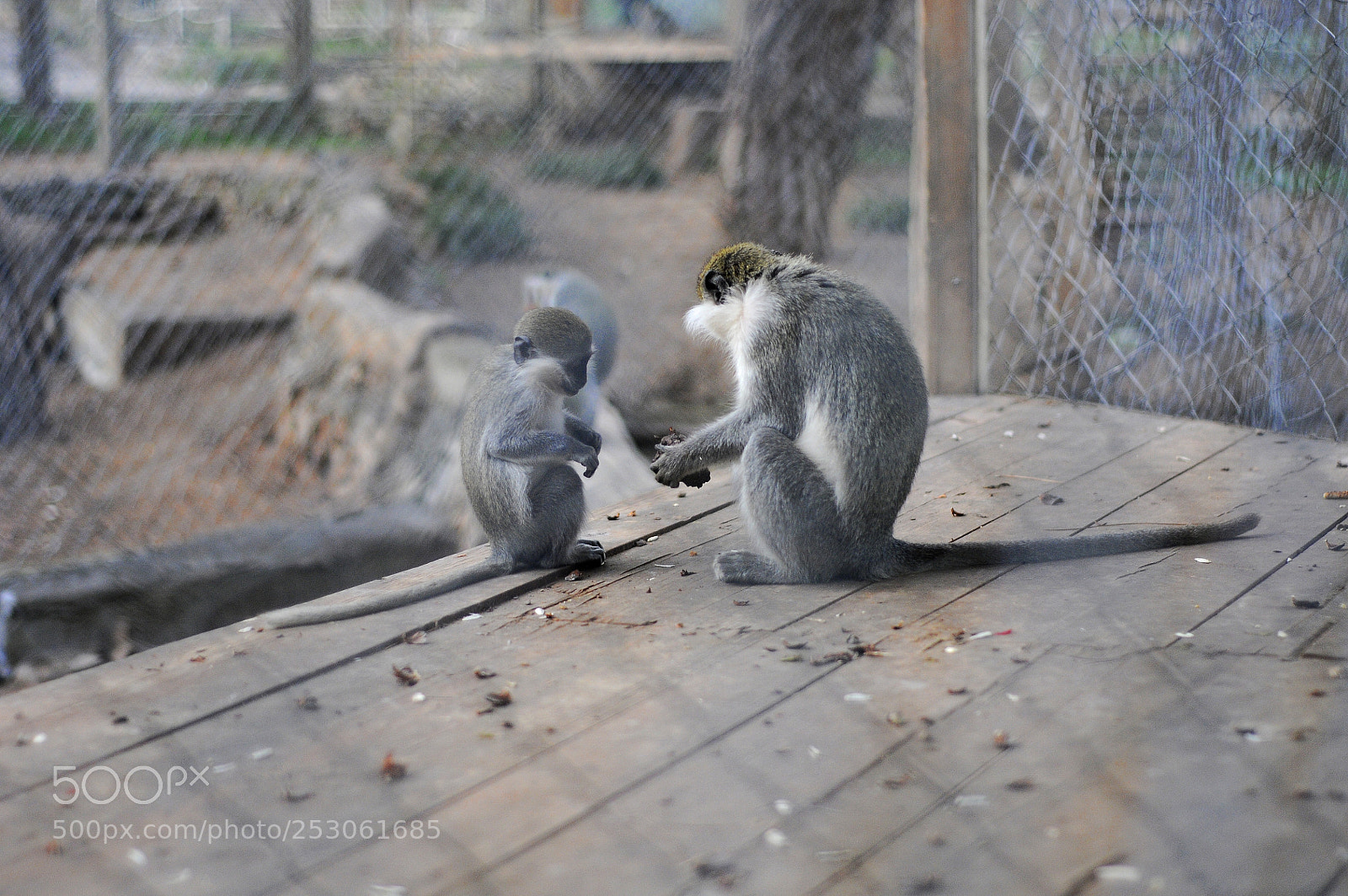 Nikon D300S sample photo. Share photography