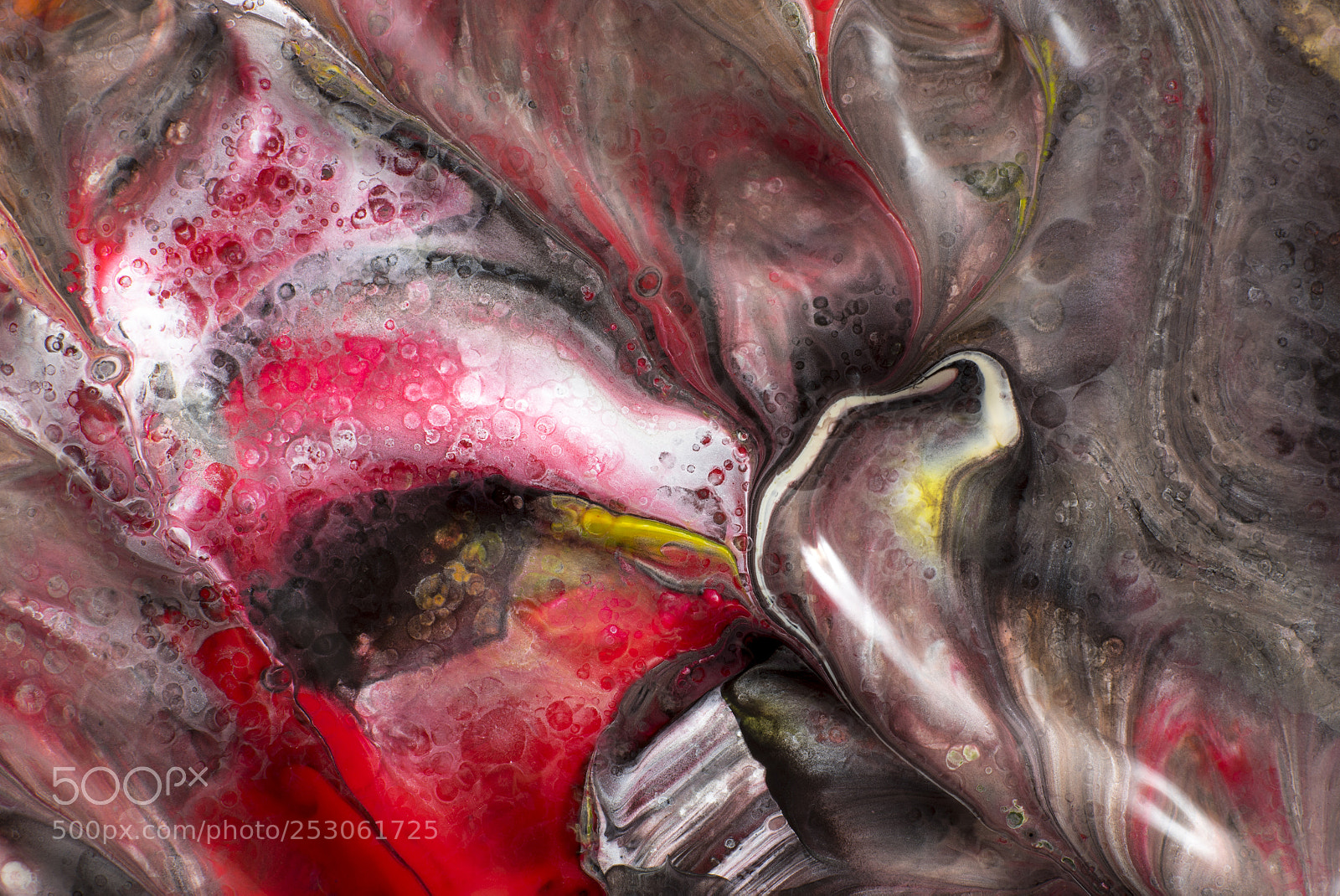 Sony a7R sample photo. Plate 2833 photography
