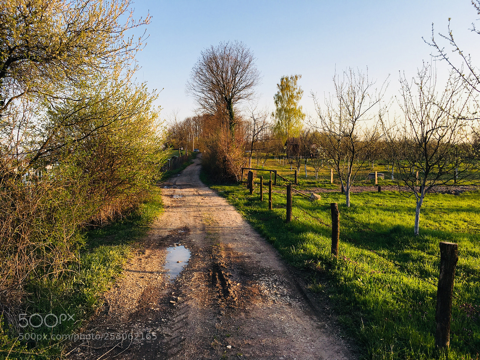 Apple iPhone SE sample photo. Spring in mramor photography