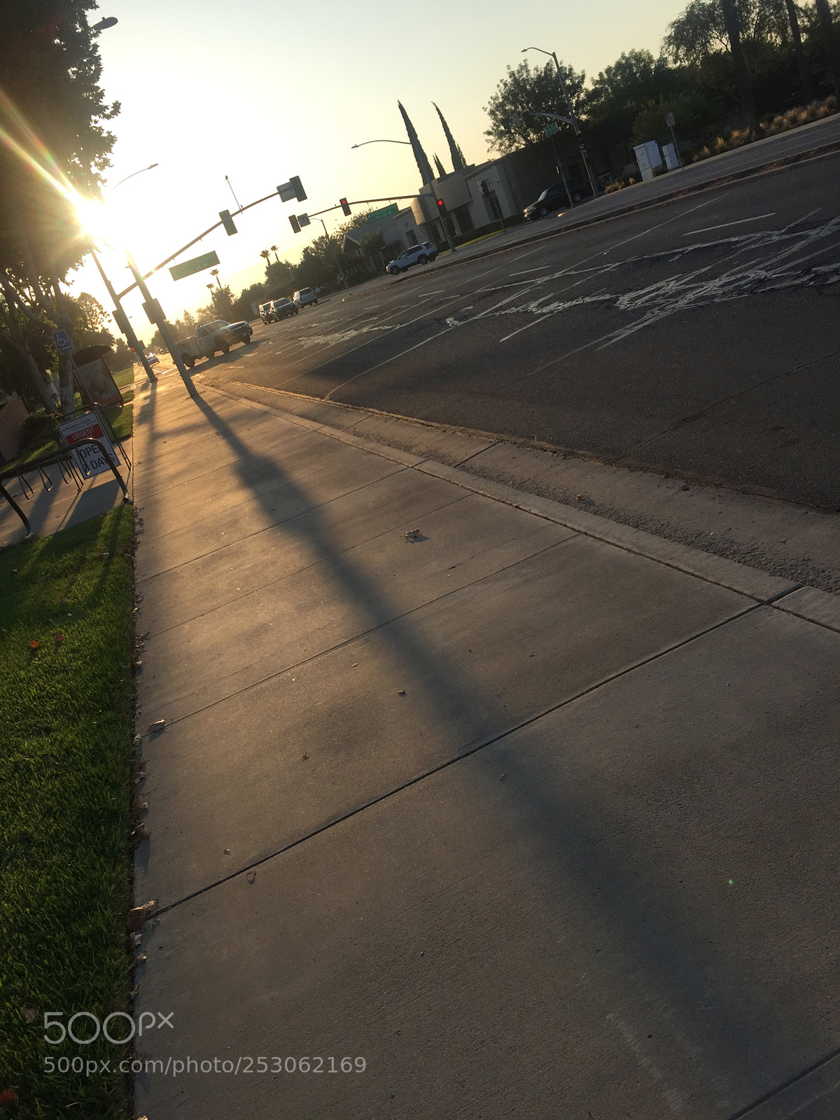 Apple iPhone 6 sample photo. Peak of life photography