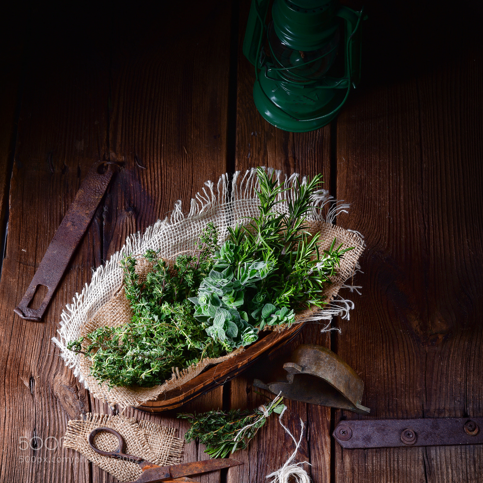 Nikon D810 sample photo. Herbal collection of thyme,oregano photography