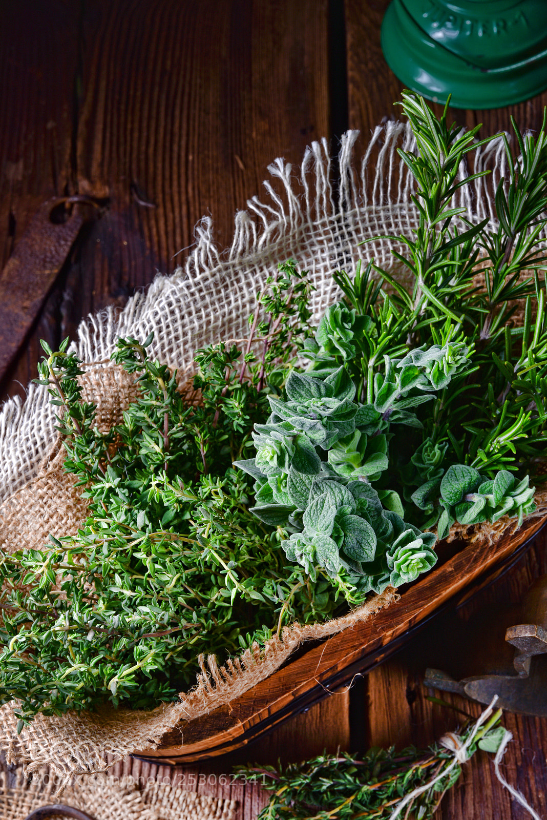 Nikon D810 sample photo. Herbal collection of thyme,oregano photography