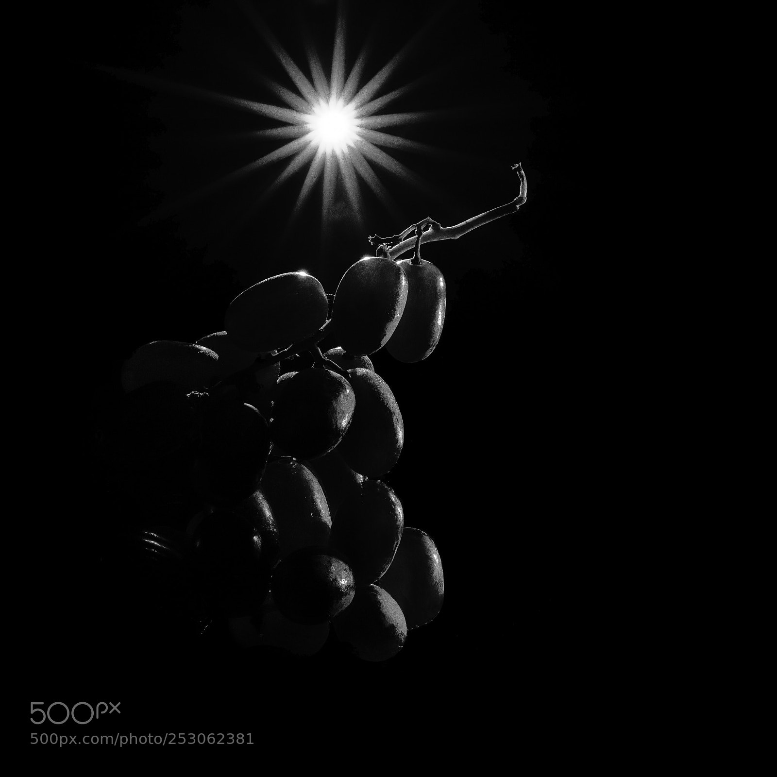 Canon EOS 5DS R sample photo. Sunshine grape photography