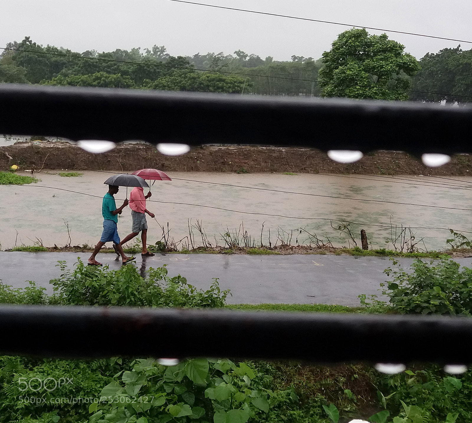 Samsung Galaxy J5 sample photo. A rainy day photography
