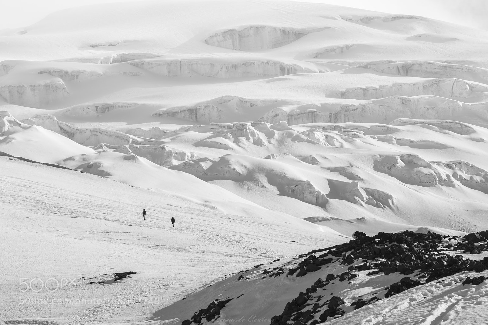 Nikon D3300 sample photo. In the big white photography