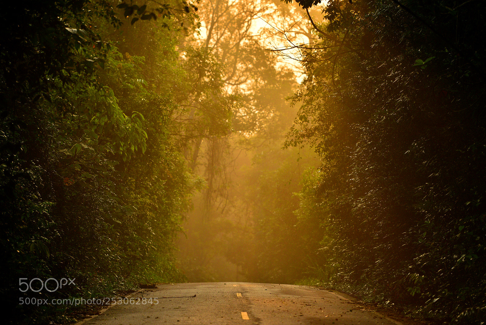Nikon D800 sample photo. Golden time in the photography