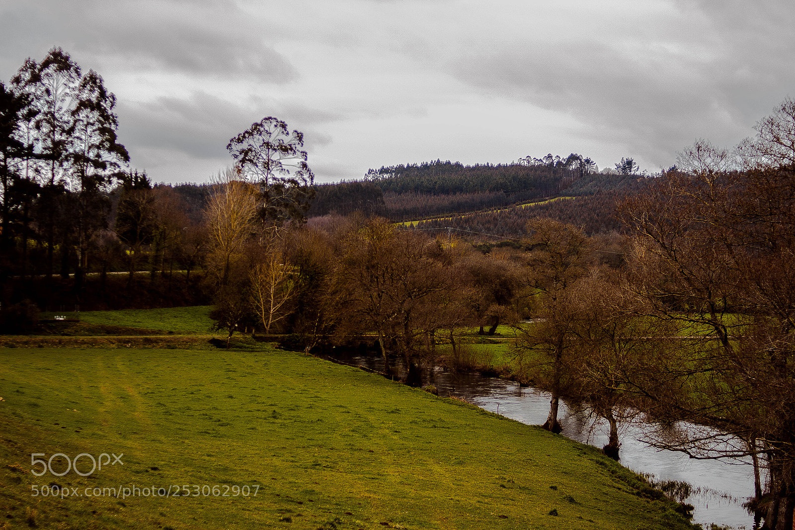 Canon EOS 100D (EOS Rebel SL1 / EOS Kiss X7) sample photo. Bis photography
