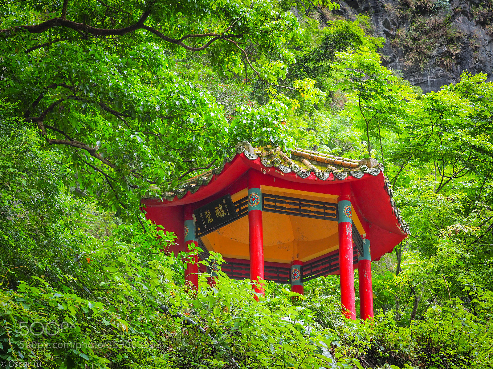 Olympus OM-D E-M1 Mark II sample photo. P4070776.jpg photography