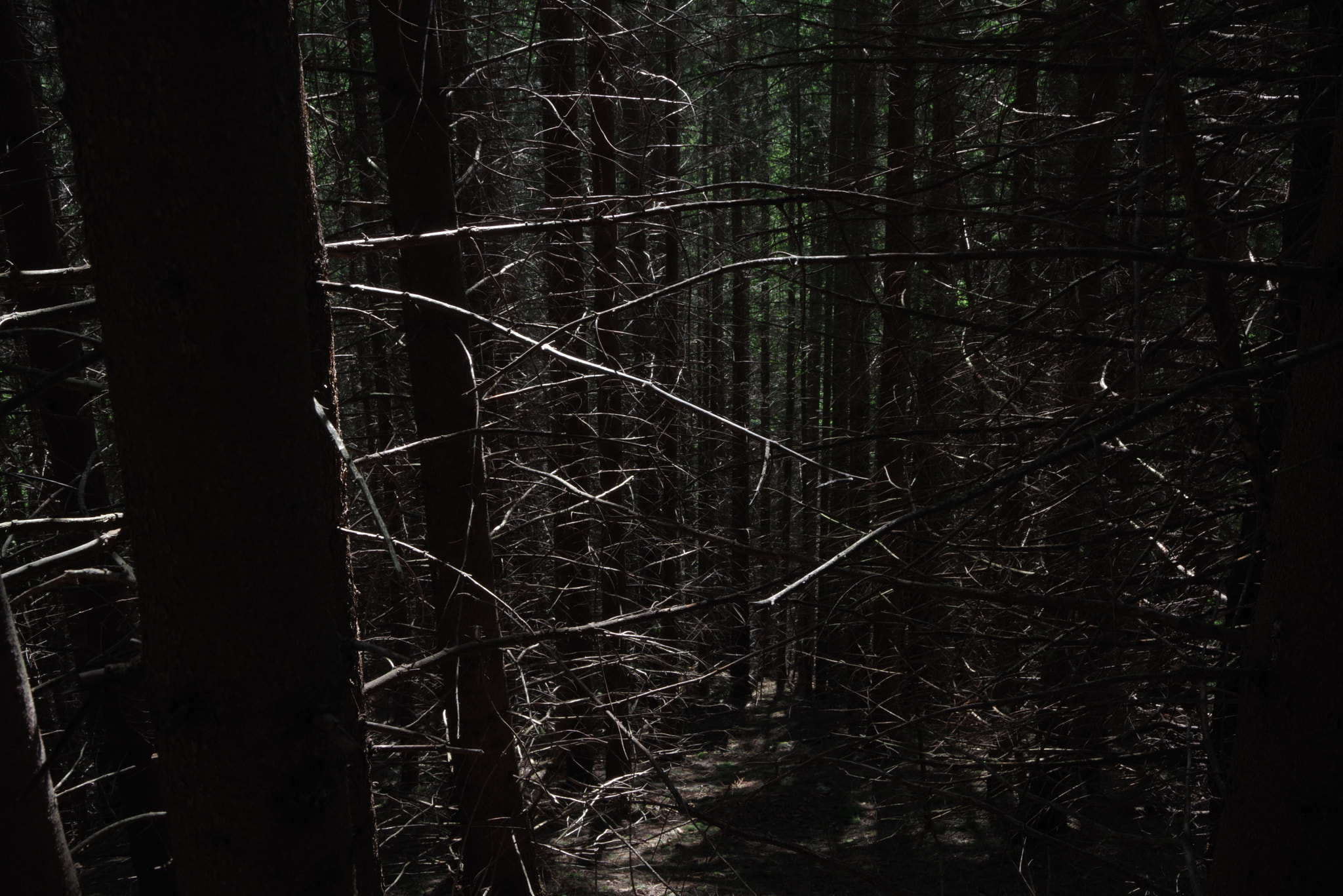 Pentax K-1 sample photo. From my hell photography