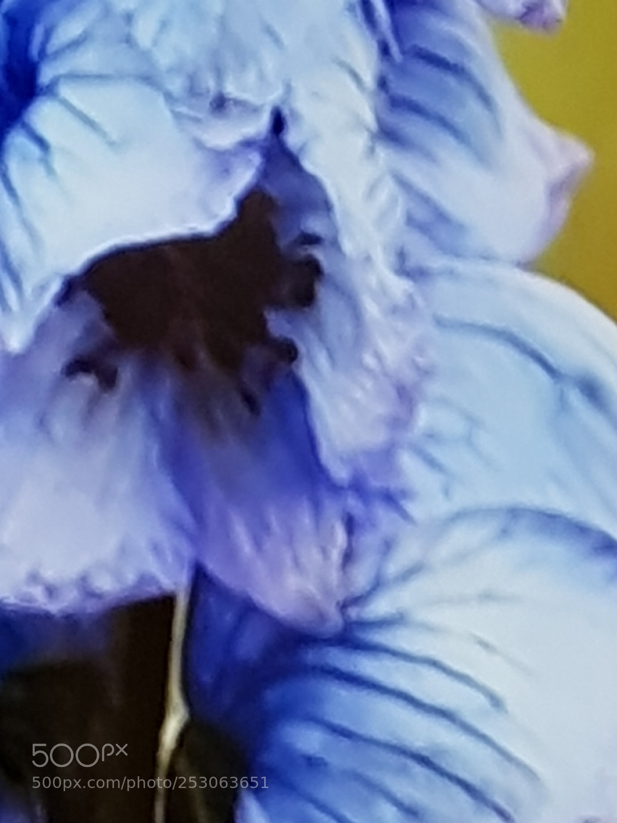 Samsung Galaxy S8 sample photo. Untitled photography