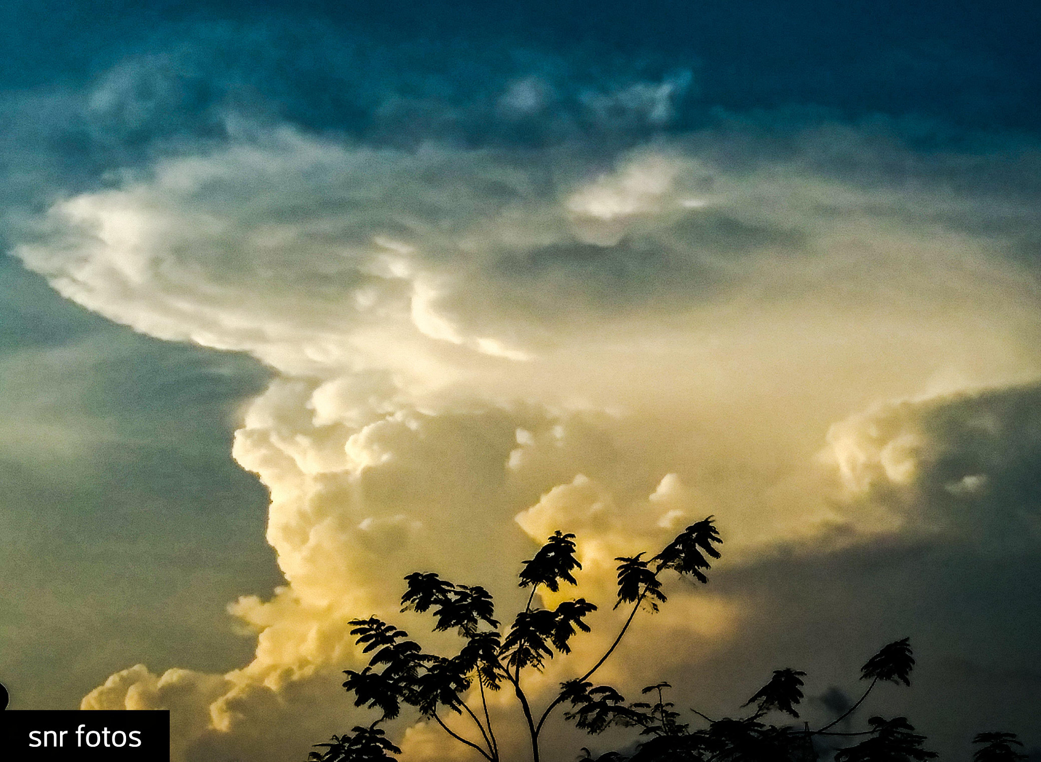 LG Q6 sample photo. Cloud cream... photography