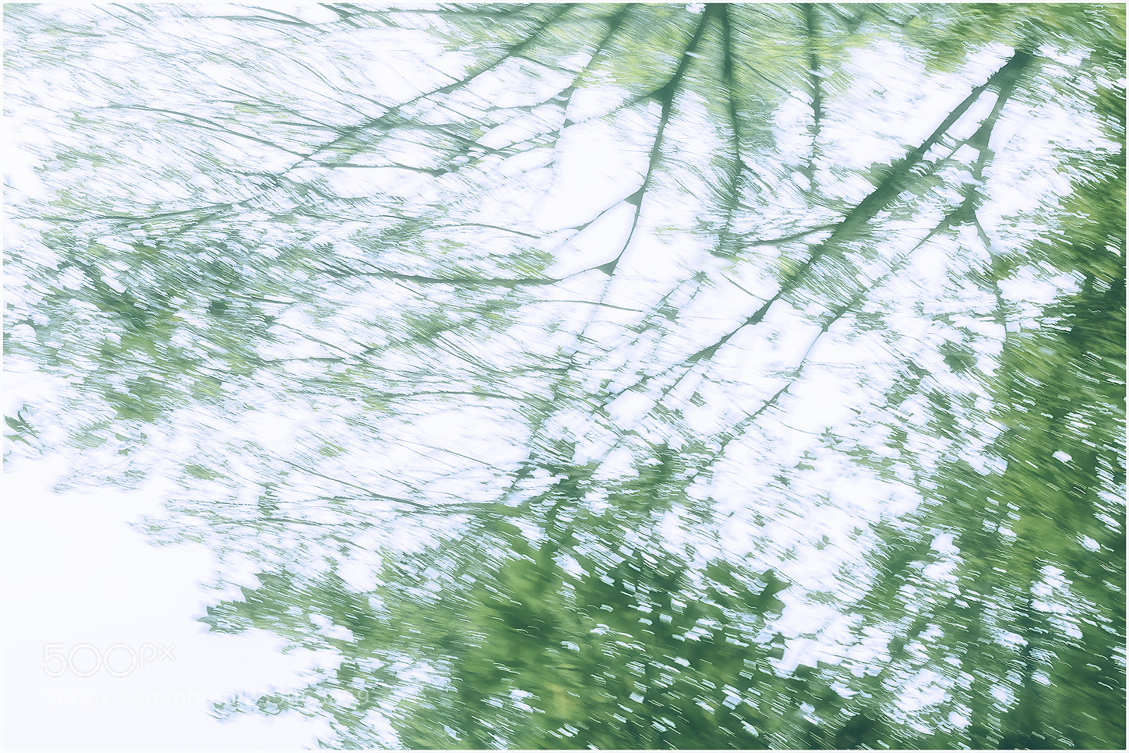 Canon EOS 5D Mark IV sample photo. Reflection photography
