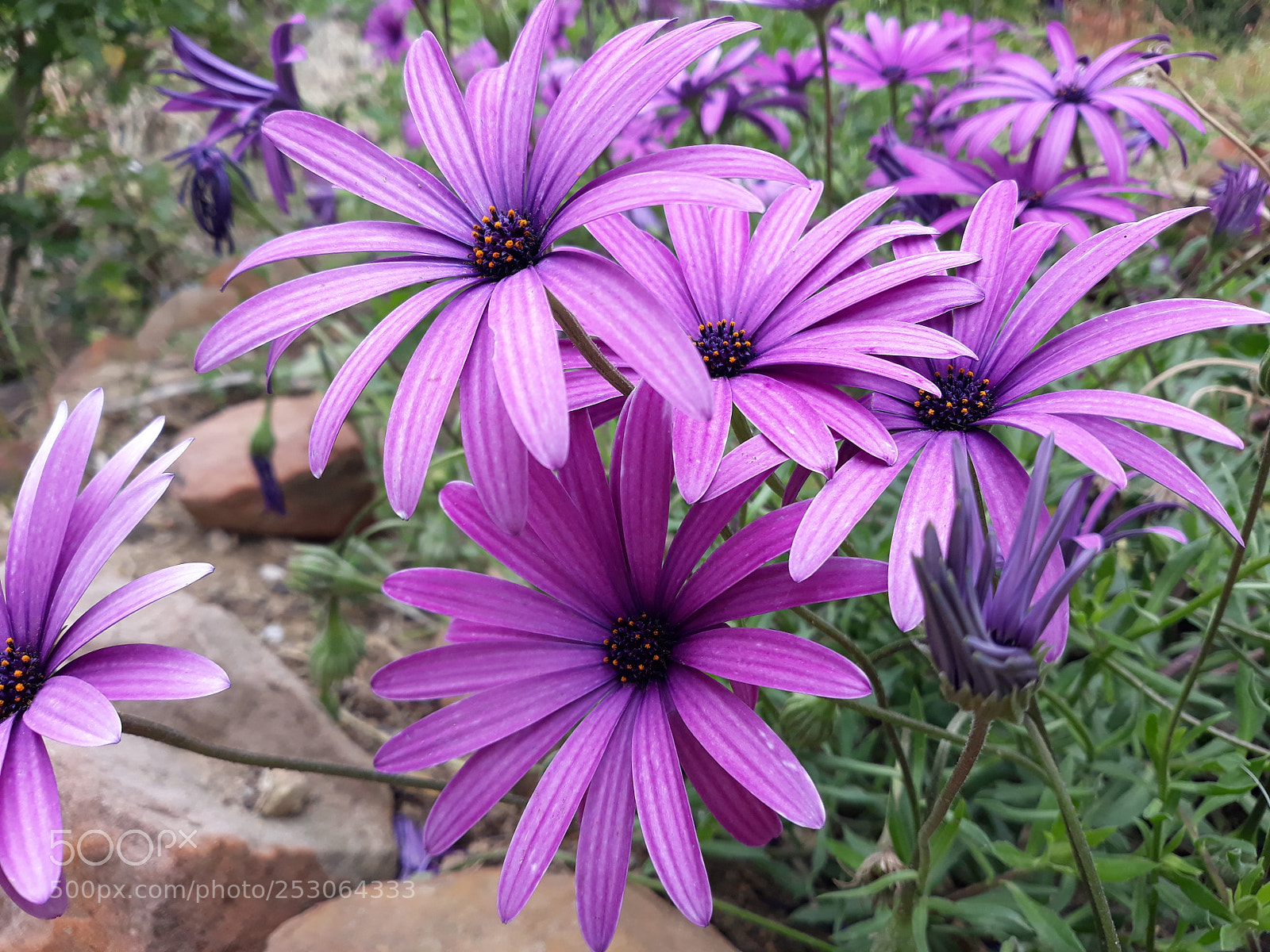 Samsung Galaxy J7 sample photo. Untitled photography